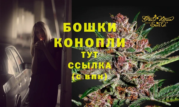 гидра Дмитровск