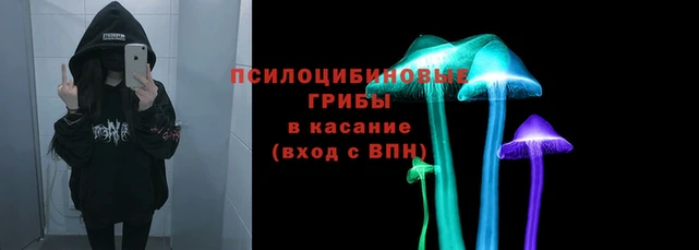 твердый Дмитриев