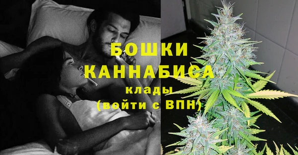 твердый Дмитриев
