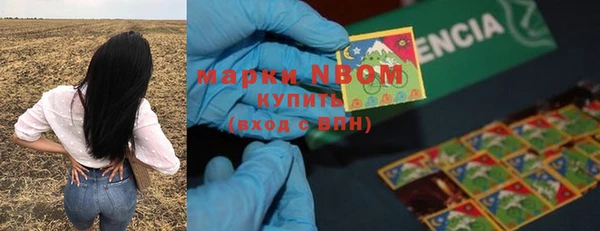 гидра Дмитровск