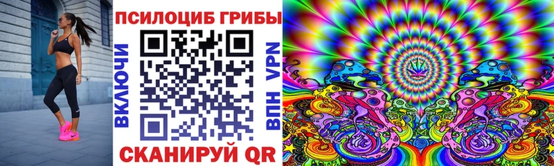 Купить закладки  Сковородино  Псилоцибиновые грибы мухоморы 
