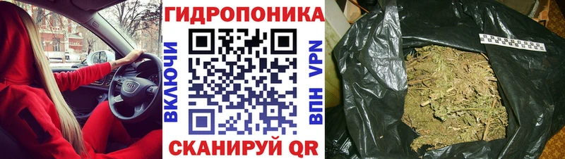 Канабис Ganja  Купить где  Сковородино 